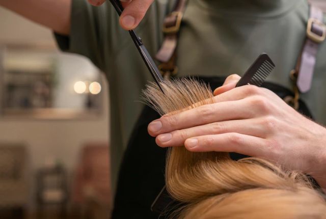 Imagem do curso Probelle- Corte